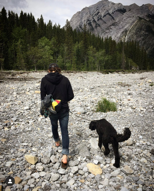 Dogs at the Crag: Should They Be Banned or Do They Belong?