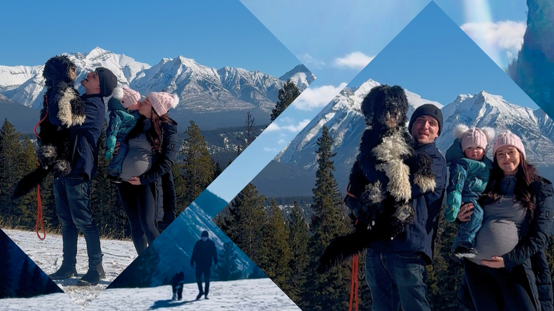 Meet the Family Behind Summit Dogwear: A Story of Adventure, Resilience, and Innovation