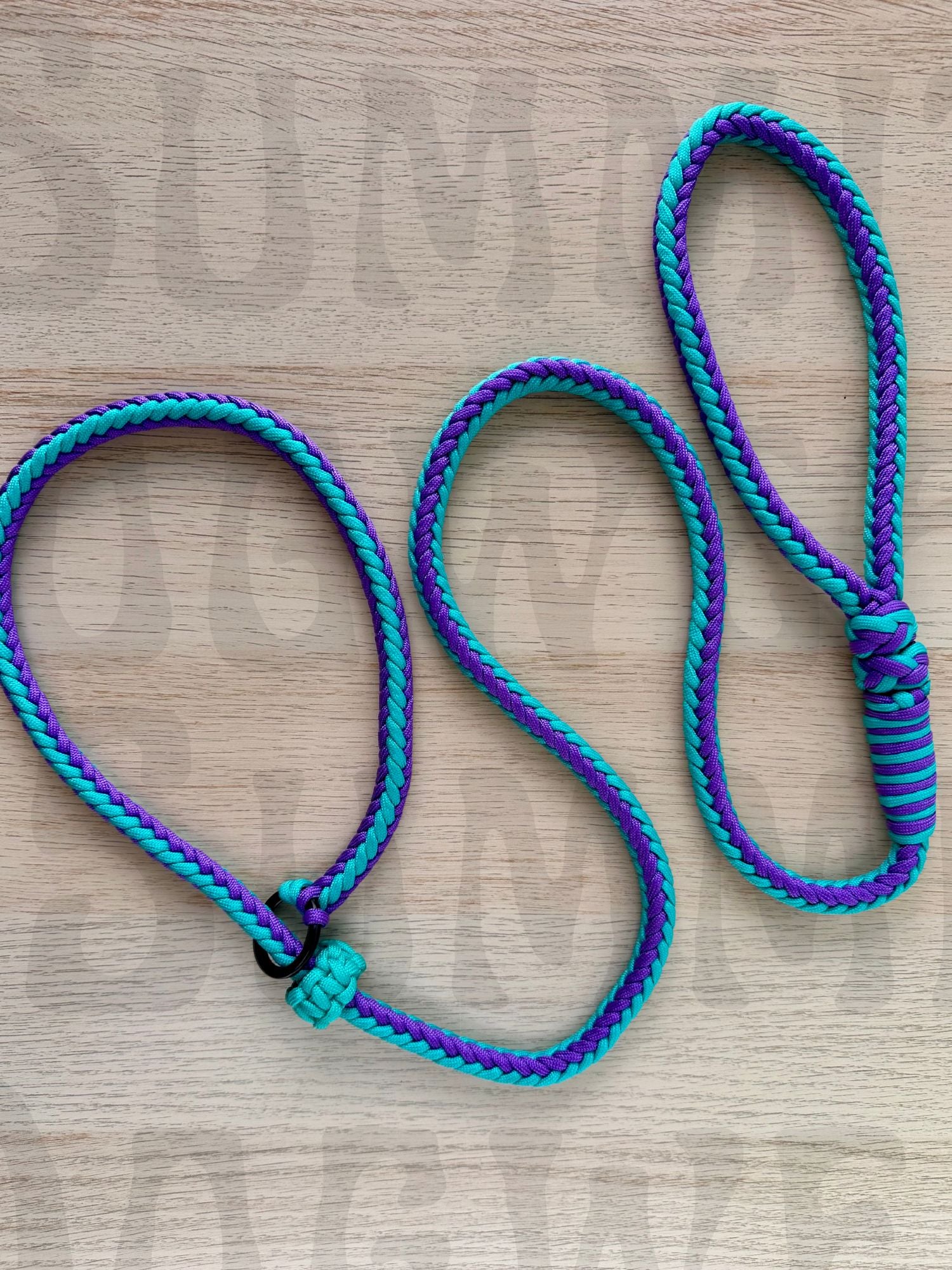 Summit Series Paracord Slip Leash