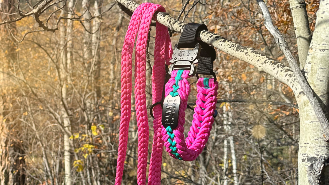 The "Candy Shop" Tactical Paracord Collar