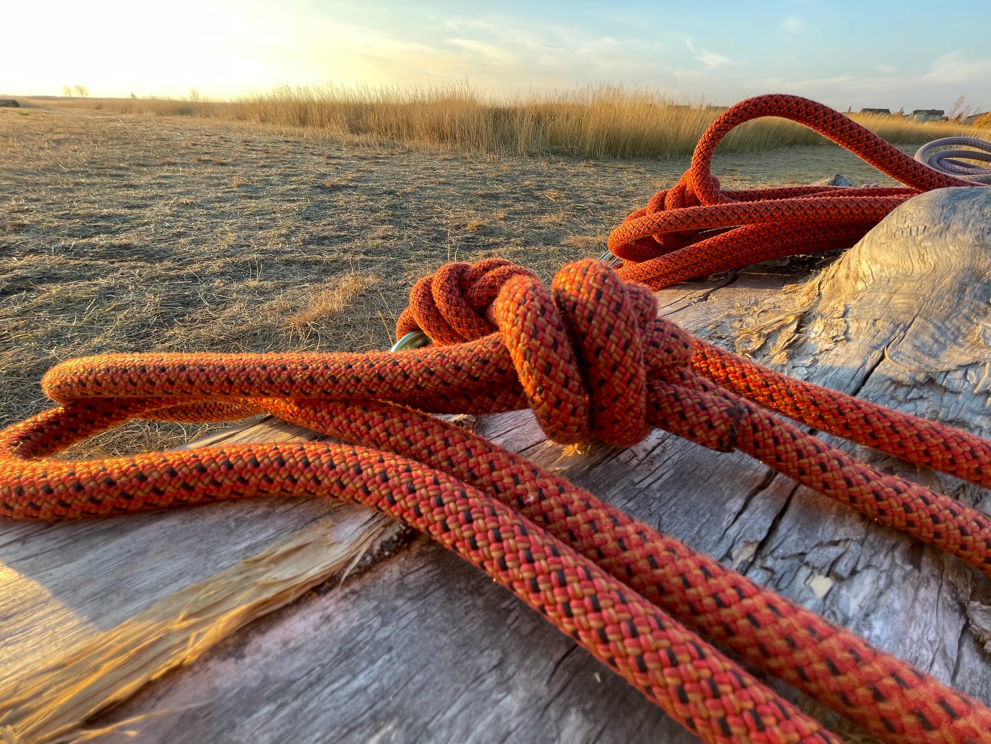 Rope Long Leash made from Upcycled Climbing Rope In Canada