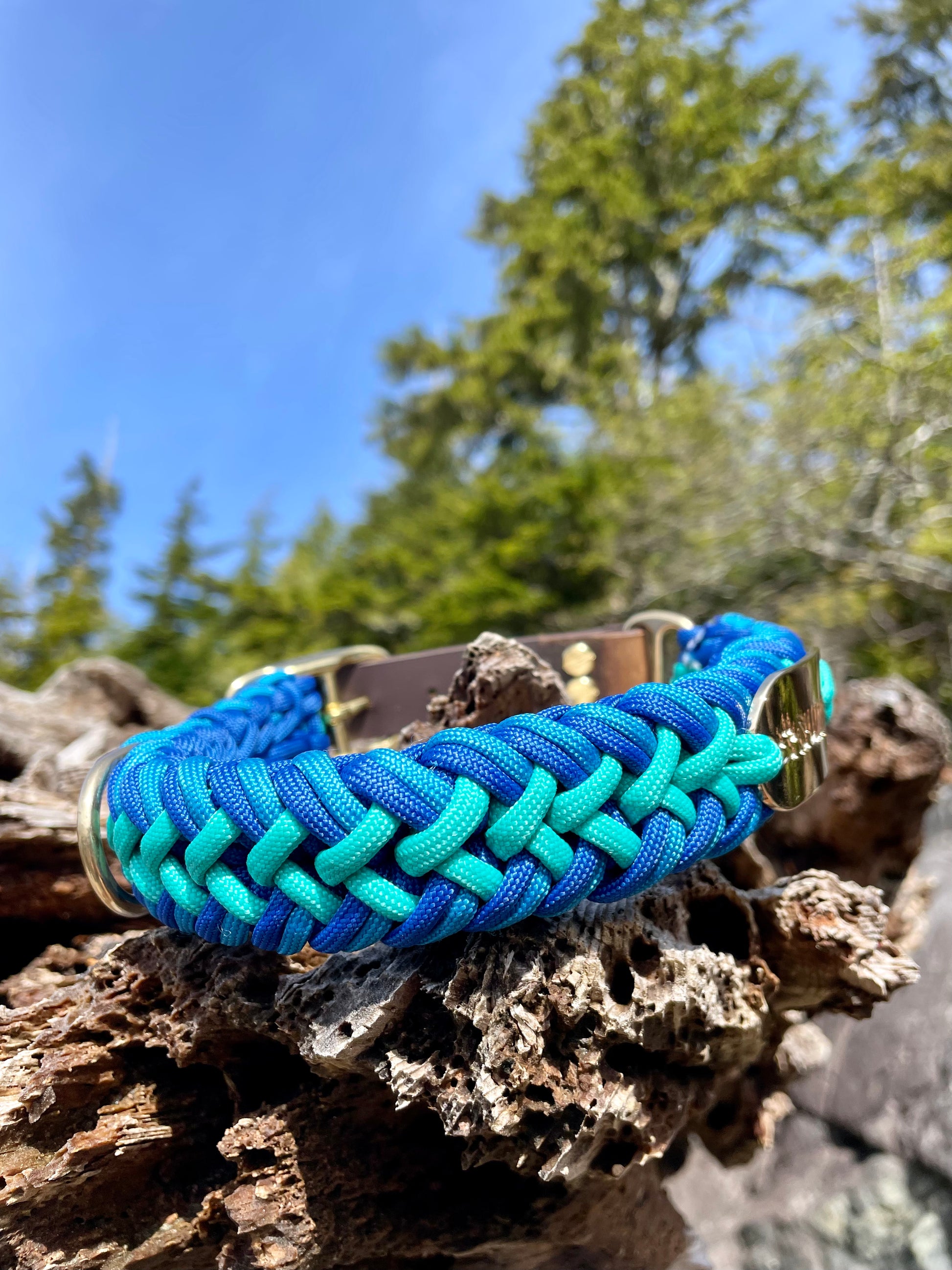 Beautiful High Quality Paracord Collar with Replaceable Belt